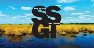 SSGT Everglades Logo web